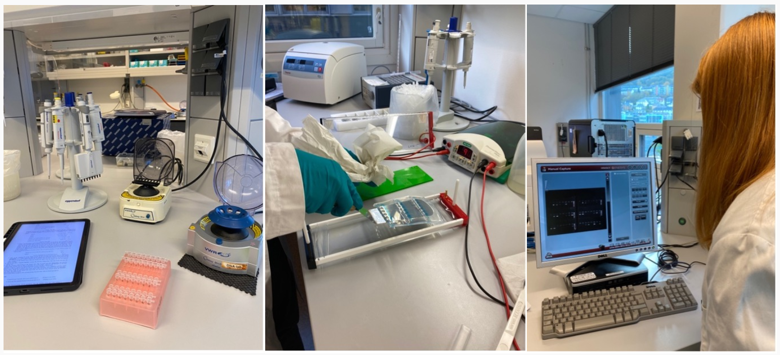 Foto: Hanna Sannes UM UiB